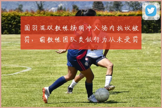 国羽混双教练杨明冲入场内抗议被罚,前教练团队类似行为从未受罚数据对比